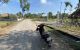 thum-8352602_42dcQTRJwE_1641702400.jpg
