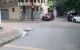 thum-m_1lexZ7R9NP_1641702262.jpg
