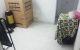 thum-8354322_Qf2uW350C4_1641795003.jpg