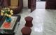 thum-8354660_BIEpQ63gFA_1641807372.jpg