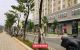 thum-m_Tfur8sq9L3_1641778771.jpg