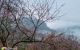 thum-m_shkcMwTAS9_1641802025.jpg