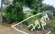 thum-8355777_MqGH05vV4n_1641868522.jpg