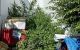 thum-m_YVKI5jPHMd_1641868324.jpg