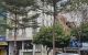 thum-m_wAGHeNqmD3_1641871382.jpg