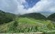 thum-8357304_bfAJPaDYUe_1641949215.jpeg