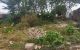 thum-8358077_f1dhmXZHVC_1641972470.jpg