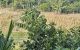 thum-m_Ydrc7xpX8a_1641971133.jpg