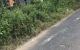 thum-8360143_t4ZYXHuLGe_1642065478.jpg