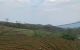 thum-m_YfKkUpG62u_1642047642.jpg