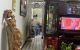 thum-m_u6e3MDowjN_1642040960.jpg