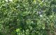 thum-8360923_uXMDV16QeG_1642122186.jpg