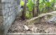 thum-8361276_mGsWSnEH0l_1642130165.jpg