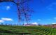 thum-8361309_h39lIW4Ysm_1642130579.jpg