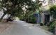 thum-8361531_Xacvb2LCGF_1642136674.jpg