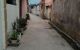 thum-8362047_5fDdXYsLEu_1642158388.jpg
