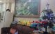 thum-8362195_wANYGkdBCo_1642175669.jpg