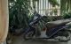 thum-8362832_fVKq5G8hHL_1642213840.jpg
