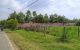 thum-8363193_wWQV8JUHK0_1642229104.jpg