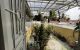 thum-8363661_l1corNh8PC_1642256956.jpeg