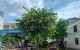 thum-m_Ax5bjFIHkB_1642377725.jpg