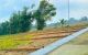 thum-m_zOH7t1JWjc_1642415656.jpg