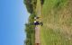 thum-8366890_z6sKGcfqDj_1642473874.jpg