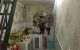 thum-8367039_XcauhHFwKN_1642479251.jpeg