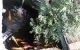 thum-8367098_HqX3Zsu0z9_1642481676.jpg