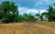 thum-8367108_a0cHEUdhRw_1642482550.jpg