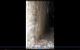 thum-8367571_I9G2tk4dsj_1642502827.png