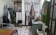 thum-8367619_CKTqc1iEo8_1642504624.jpg