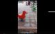 thum-m_DBUbIJjXRr_1642502822.png