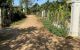 thum-m_iOeZEqSfnC_1642466924.jpg
