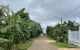 thum-8368753_drwh9zpecY_1642577061.jpg