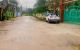 thum-8369778_RMY8zO5mo3_1642653136.jpg
