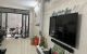 thum-8370624_DEGH9PFQxB_1642726990.png