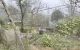 thum-m_PrWmcZYOVT_1642733345.jpeg