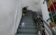 thum-8372037_zdAC5eVqyc_1642827231.jpg