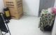 thum-8372062_XEa8uec2mj_1642828135.jpg