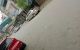 thum-8372391_XakbSvVx6C_1642858470.jpg