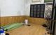 thum-8372421_BObCWTmZAM_1642864698.jpg