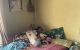 thum-8373182_GOMwRvnEVr_1642949746.jpg