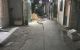 thum-8374356_ZIpgA5Yq89_1643065824.jpg