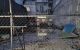 thum-m_vZV6zaLHgC_1643168339.jpg