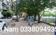 thum-8375406_aTurtdh1A6_1643221253.jpg