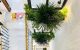 thum-8380222_Phm9TzouMr_1643924292.jpg