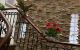 thum-8380826_MUVebzJ9XI_1644071475.jpg