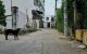 thum-8382983_rnxwRMGtuN_1644288588.jpg