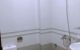 thum-8386163_tvo53mkyru_1644504813.jpg